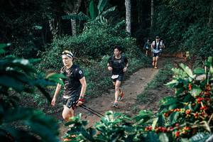 BIB: 
                            <button type="button" onclick="openModal(25803858)" class="btn btn-primary btn-sm float-right btn-popup" data-toggle="modal" data-target=".modal-high-quality">
                        <i class="fas fa-shopping-cart"></i> Add to Cart
                    </button>
                                            <button type="button" onclick="isThisMe(25803858, true)" class="btn btn-success btn-sm float-right btn-popup btn-isme hidden" data-toggle="tooltip" data-placement="bottom" title="นี่คือรูปของคุณใช่ไหม คลิกที่นี่เพื่อเอาเข้าอัลบั้ม">
                        <i class="fas fa-plus"></i> Add to album
                    </button>
                    <button type="button" onclick="isThisMe(25803858, false)" class="btn btn-warning btn-sm float-right btn-popup btn-isnotme hidden">
                        <i class="fas fa-ban"></i> Remove from album
                    </button>